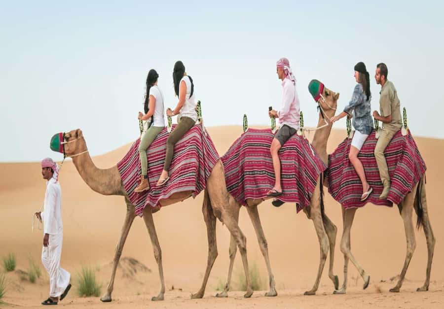Dubai: Desert Safari, Camel Ride, Sandboard & Buffet Dinner - Dinner under the stars and live belly dancing, tanoura, fireshow