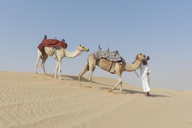 Dubai Desert Safari Dune Bashing, 60min ATV Quad, Camel Ride, BBQ - Guides and the safety vibe: what matters when it gets bumpy