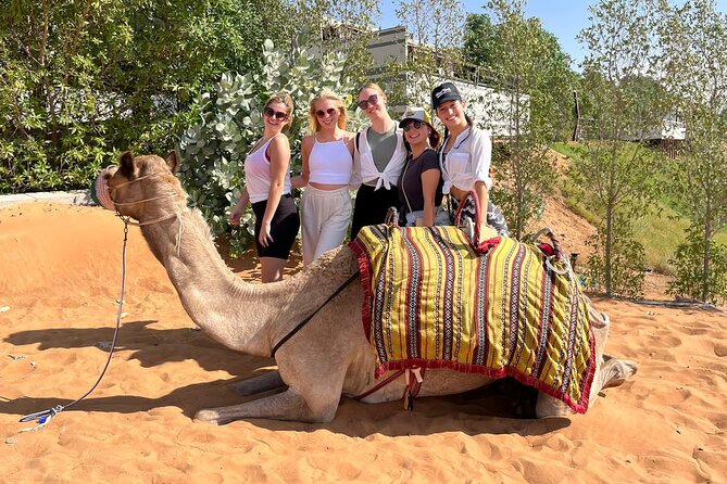 Dubai Desert Safari: Dune Bashing, Camel Ride & BBQ Dinner - BBQ dinner buffet under the stars, with live entertainment