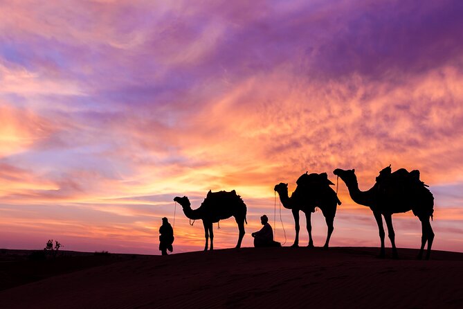 Dubai Desert Safari Dune Bashing, Camel Ride, Sand Boarding, BBQ Dinner. - Refreshments included: the quiet comfort that makes the day easier