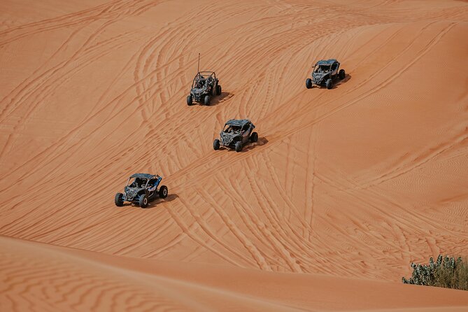 Dubai Desert Safari Dune Bashing, Camel Ride, Sandboarding & BBQ - Bedouin-Inspired Camp Energy, Shows, and the BBQ Buffet