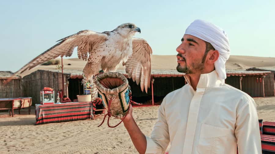 Dubai Desert Safari - Premium BBQ Dinner, Camel Ride & Shows - Camel ride timing: short on purpose, so use it well