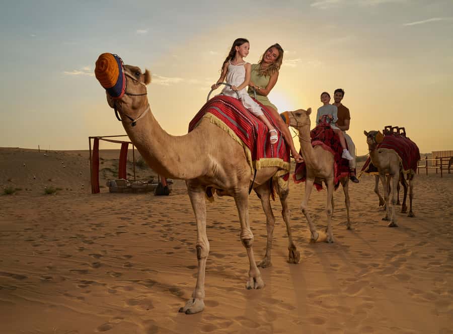 Dubai: Desert Safari, Quad Bike & Premium Camp Experience - Dune Bashing, Sandboarding, And Falcon Stops In The Red Dunes
