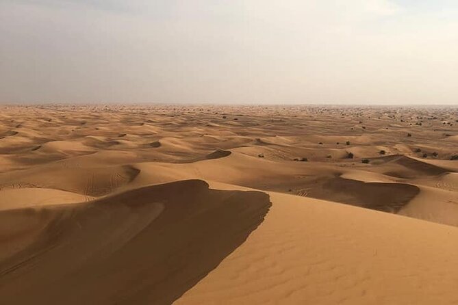 Dubai Desert Safari Sharing with Quad, Shows, Camel and Dinner - Dubai Desert Safari With Quad, Shows, Camel, and Dinner: What You’re Really Buying