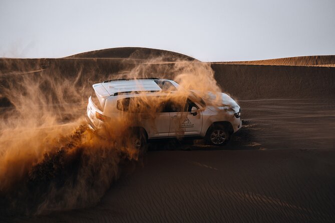 Dubai Desert Safari Thrill: Camel Ride, Live shows, BBQ & Spirits - Who should book this safari, and who should skip it?