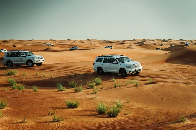 Dubai Desert safari Tour with Live BBQ & Belly Dance Shows - Desert safari value in 7 hours, with pickup and a plan