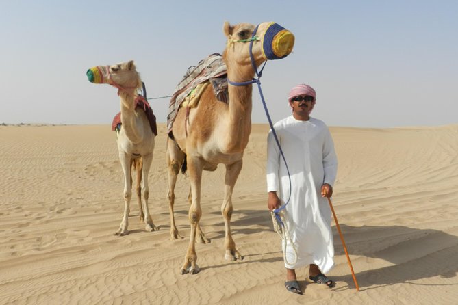 Dubai Desert Safari with BBQ, 3 Shows & Camel Ride at Majlis Camp - Henna, Hookah, and Arabic Dress Photos: The Stuff That Makes It Feel Real