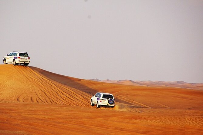 Dubai Desert Safari with BBQ, 3 Shows & Camel Ride at Majlis Camp - BBQ Dinner and Drinks: What You Get, and How to Think About Value