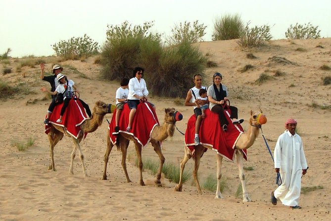 Dubai Desert Safari with BBQ Dinner Pickup from Ras Al Khaimah - Sunset views, photo stops, and managing the camera pressure
