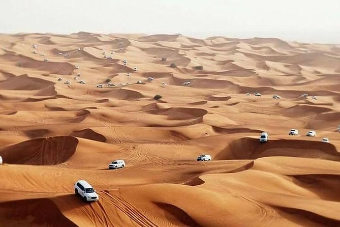 Dubai Desert Safari with BBQBuffet, Dune Bashing, Boarding, Camel - Price and Value: What $22 Buys in the Desert
