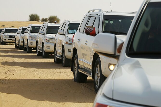 Dubai Desert Safari with Belly Dance, Fire Show and Tanura Show-The Full Package - Sand Dune Bashing at Lahbab, plus how to prep for the ride