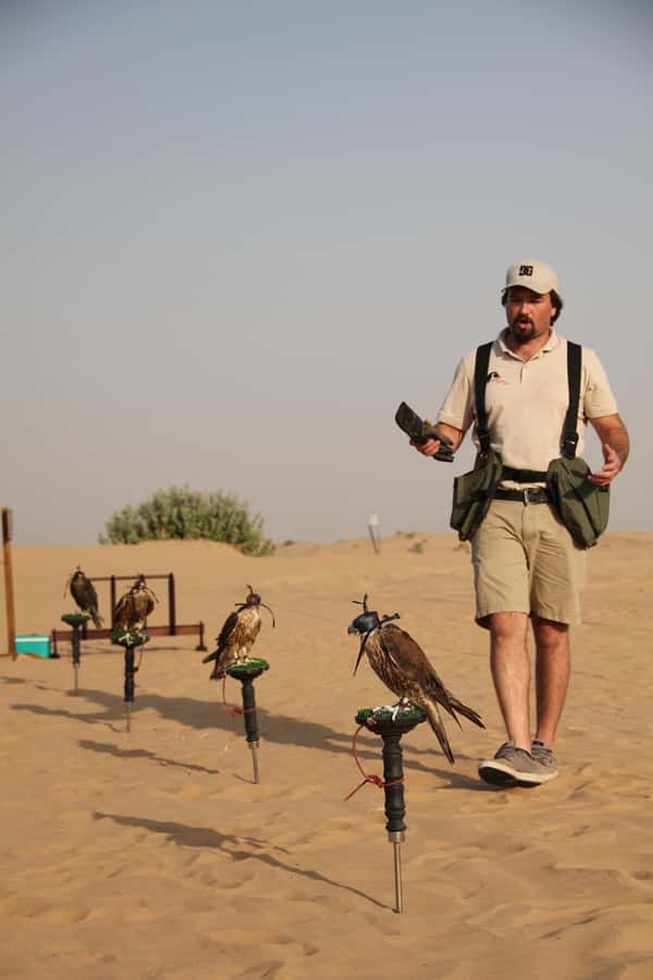 Dubai Desert Safari with Burj Khalifa (Ticket Only) - Desert Camp Dinner and Shows: Henna, Tanoura, Shisha, and Belly Dance