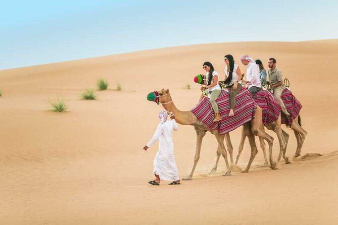 Dubai Desert Safari With Camel Ride and Sand Boarding - A 2:30 pm start that puts you in the comfort zone