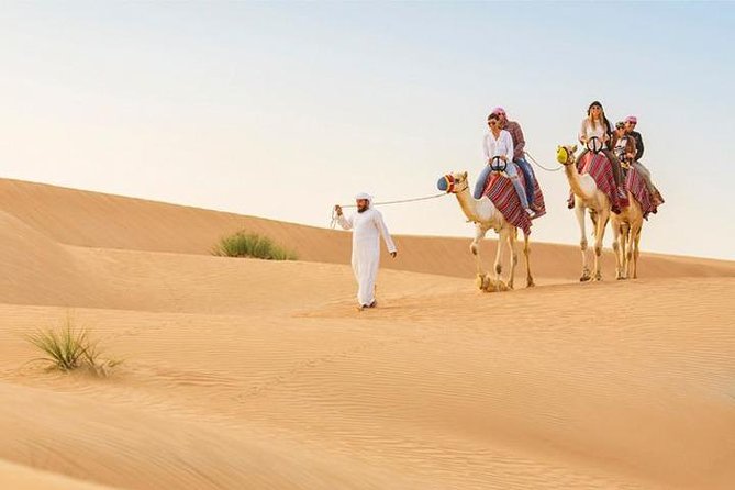 Dubai: Desert Safari with Camel Ride & Dune Bashing - The 2:30 pm start and why the timing is the whole point