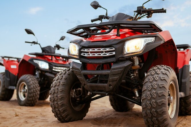 Dubai Desert Safari: with Camel Ride, live entertainment and bbq - Camel Ride Calm Time: A Softer Side of the Dunes