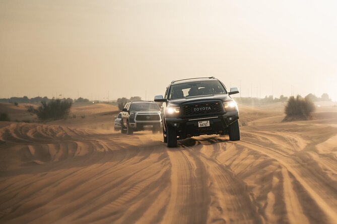 Dubai Desert Safari with Camel Ride, Sand surf, & BBQ Dinner - Guide and Comfort: What the Best Feedback Focused On