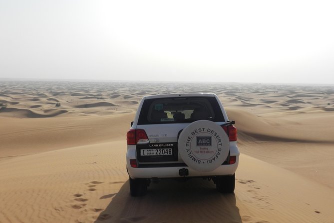 Dubai Desert Safari with Camel Ride, Show, BBQ and Transfers - Transfers, Group Size, and Mobile Ticket Practicalities