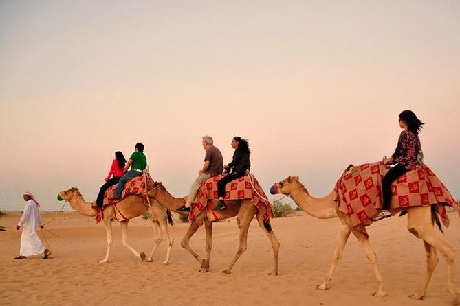 Dubai Desert Safari with Camel Riding and Belly Dance - Quick Hit Highlights Before You Go