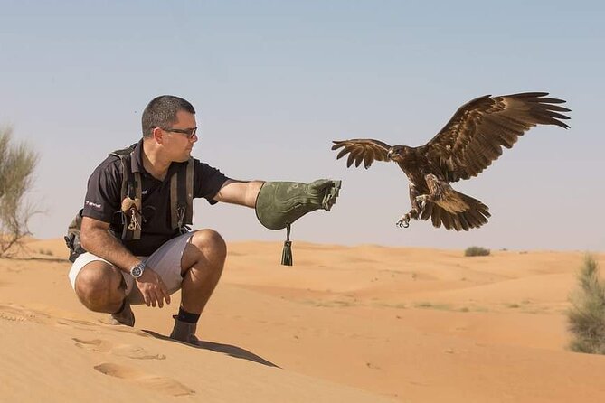 Dubai Desert Safari with Camel Riding and Belly Dance - The Show Lineup: Tanoura, Fire Tricks, and Belly Dance