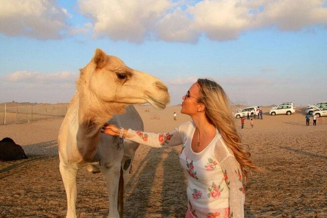 Dubai Desert Safari with Camel Riding, Sand Boarding,BBQ Dinner and 3 Live Shows - What you really get in about 6 hours