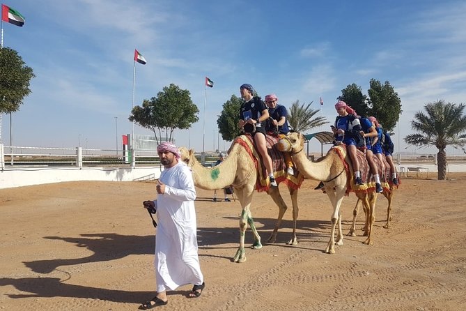 Dubai Desert Safari with Camel Riding, Sand Boarding,BBQ Dinner and 3 Live Shows - Price and logistics: is $97.69 good value?