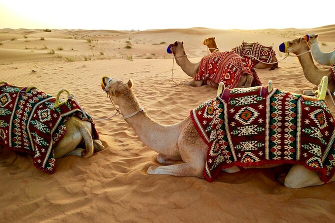 Dubai Desert Safari with Dinner - Sandboarding and the photo stop you do not want to skip