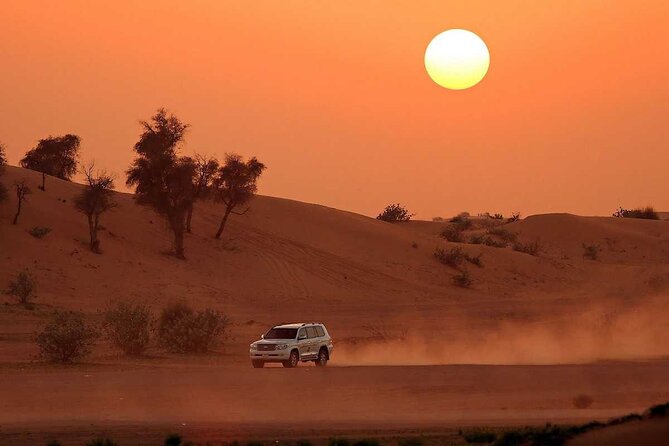 Dubai Desert Safari with Dinner - Who this fits best, and where it might not