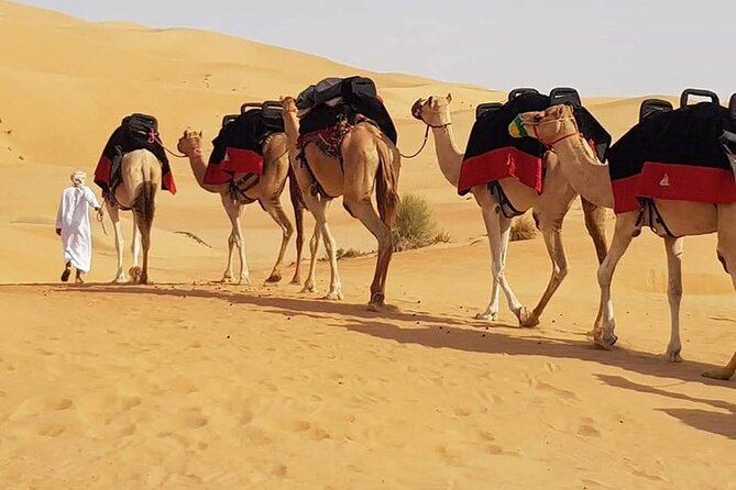 Dubai Desert Safari with Dune Bashing, Camel Ride, & BBQ Dinner - Lahbab Dunes and 4x4 Dune Bashing: Where the Adrenaline Happens
