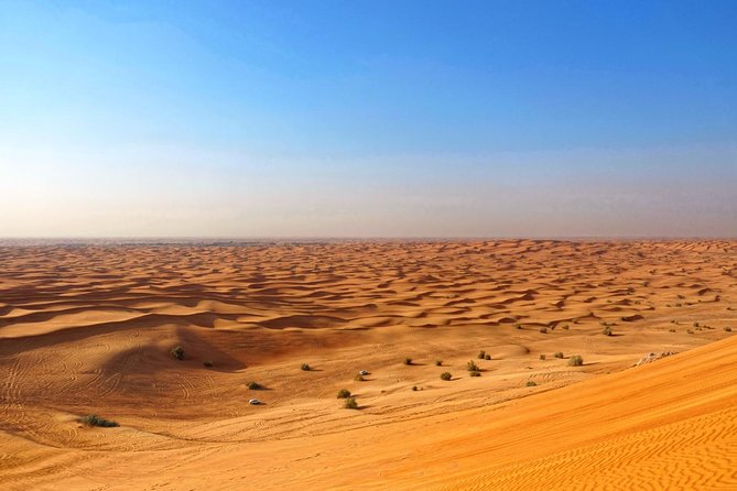 Dubai Desert Safari with Dune Bashing, Camel Rides & BBQ - Sandboarding and falconry: desert skills in plain view