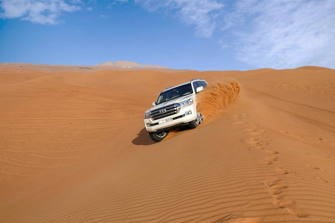 Dubai Desert Safari with Dune Bashing, Camel Rides & BBQ - Who this tour suits best (and who should be cautious)