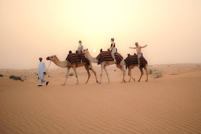 Dubai Desert Safari with Quad Biking - Who should book this desert safari with quad biking?