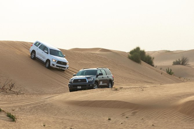 Dubai Desert Safari with Quads, BBQ Dinner, Camel ride, & Shows - Camel ride plus sand art and henna: the slower, more cultural half