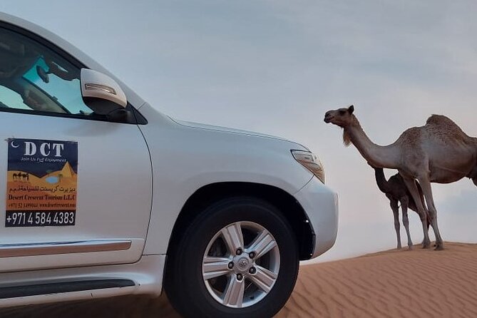 Dubai Desert Safari With Sandboarding & Camel Riding - Camel Riding at a Desert Camp: Fun, but Keep It Respectful