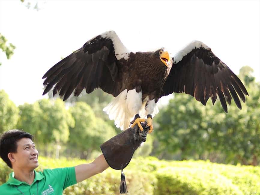 Dubai: Dubai Dolphinarium Dolphin, Seal & Bird Show Tickets - The exotic bird show: close-ups, overhead flight, and mixed pacing