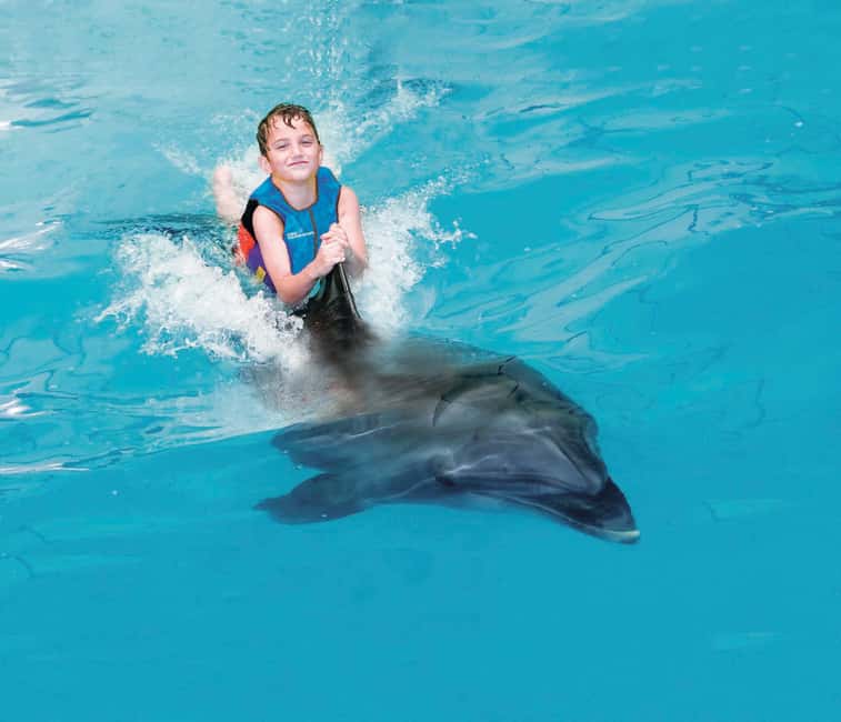 Dubai: Dubai Dolphinarium Dolphin, Seal & Bird Show Tickets - Price and logistics: $25 ticket plus the AED 5 park fee