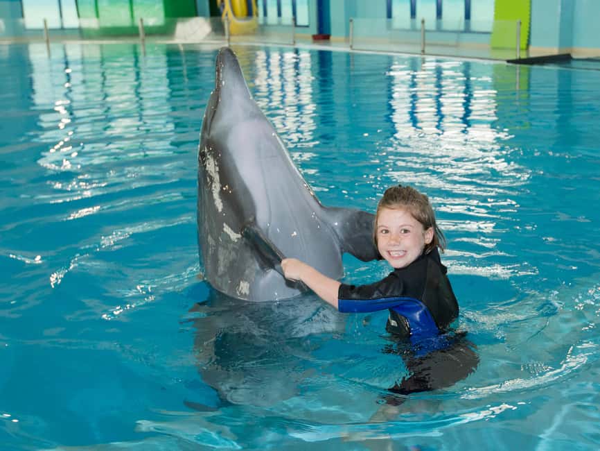 Dubai: Dubai Dolphinarium Dolphin, Seal & Bird Show Tickets - Best fit: who will love this, and who might not