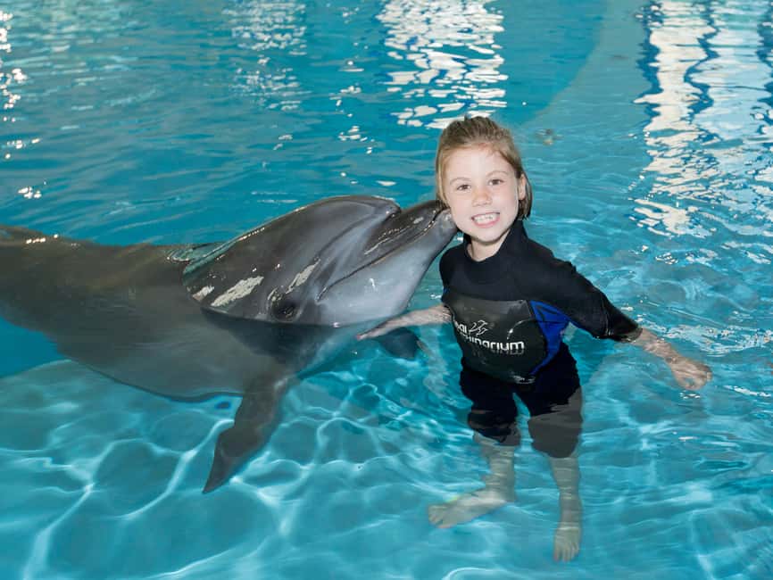 Dubai: Dubai Dolphinarium Dolphin, Seal & Bird Show Tickets - A simple game plan for your day at Creek Park