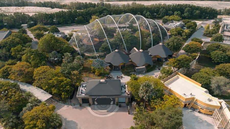 Dubai: Dubai Safari Park Entry Pass - A 119-Hectare Wildlife Day: What Dubai Safari Park Feels Like