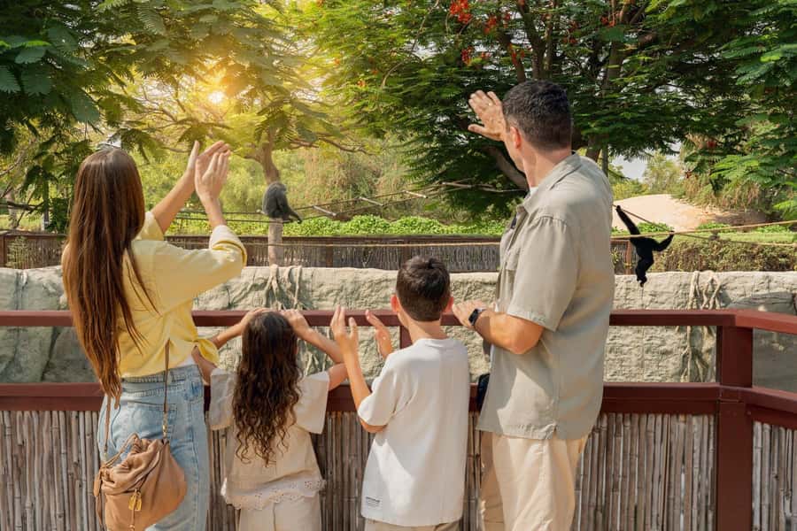 Dubai: Dubai Safari Park Entry Pass - Explorer Safari Tour on a Bus: When It’s Worth the Extra