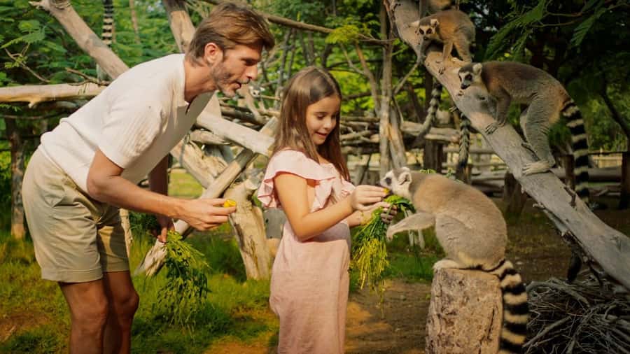 Dubai: Dubai Safari Park Entry Pass - African Village and Asian Village: Two Habitats, Two Moods