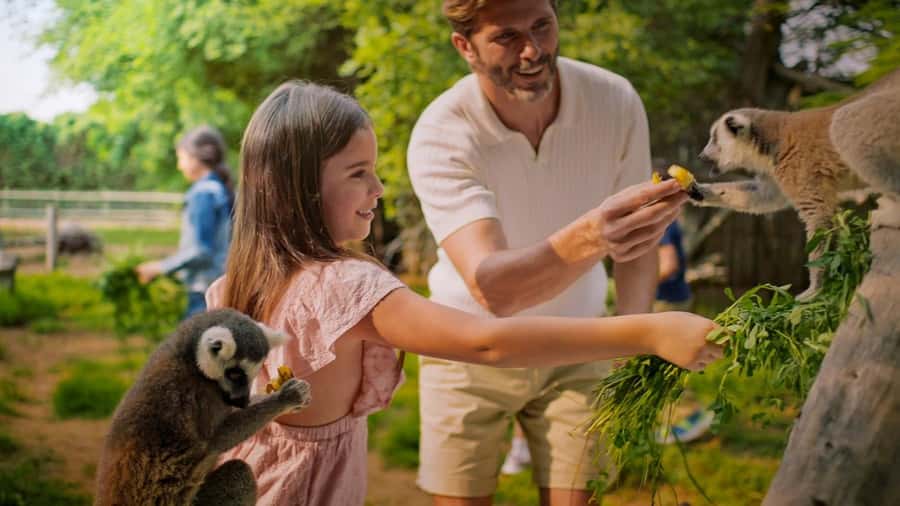 Dubai: Dubai Safari Park Entry Pass - Asian Village Theatre and Live Presentations: Your Built-In Learning Moment