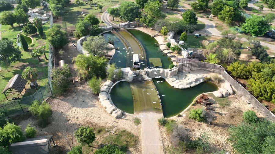 Dubai: Dubai Safari Park Entry Pass - Kids Farm and the Complimentary Feeding Encounters