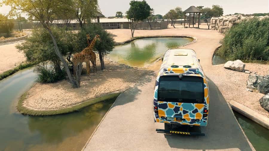 Dubai: Dubai Safari Park Entry Pass - Train Rides and Walking Routes: Choose What Matches Your Energy