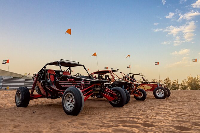 Dubai Dune Buggy Safari Tour in Red Dunes Options - Who This Tour Suits Best