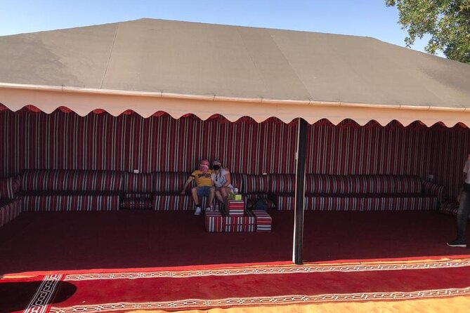 Dubai Dune Buggy Safari with Pick up - The Camel Ride Interlude: A Classic Desert Pace Change
