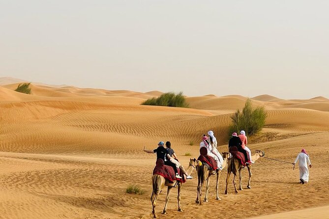 Dubai Elite Red Dunes Safari With Sunset & Bedouin Camp - Price and What You Get for Around $180