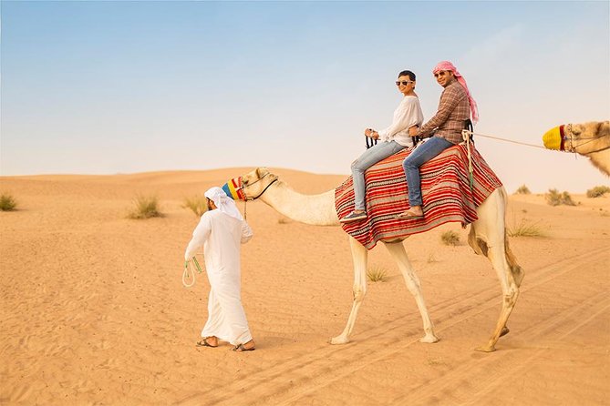 Dubai Evening 4x4 Desert Safari, Shows, Camel Ride BBQ Dinner - Shows under the stars: Tanura, Fire, belly dance, and Al Ayyala