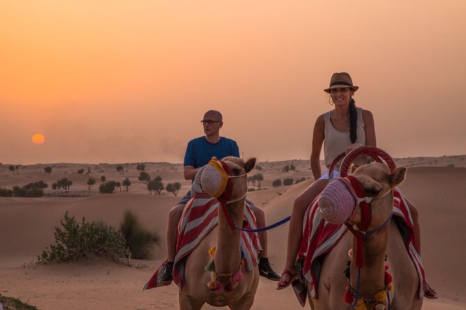 Dubai: Evening Camel Caravan, Bedouin Dinner at Al Marmoom Oasis - Key things to know before you go