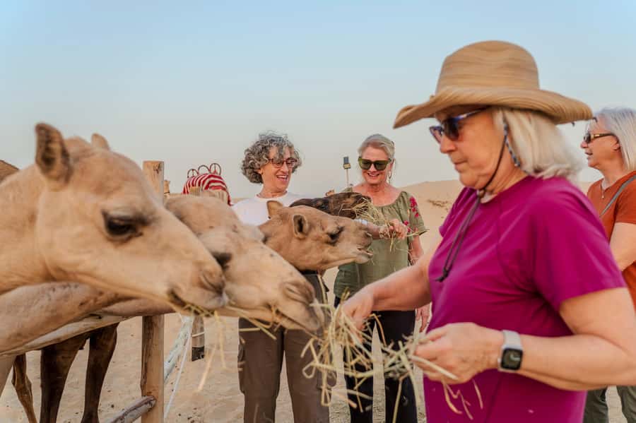 Dubai: Evening Camel Trekking & Dinner at Al Marmoom Oasis - Telescope Stargazing: How to Get the Best Night Sky