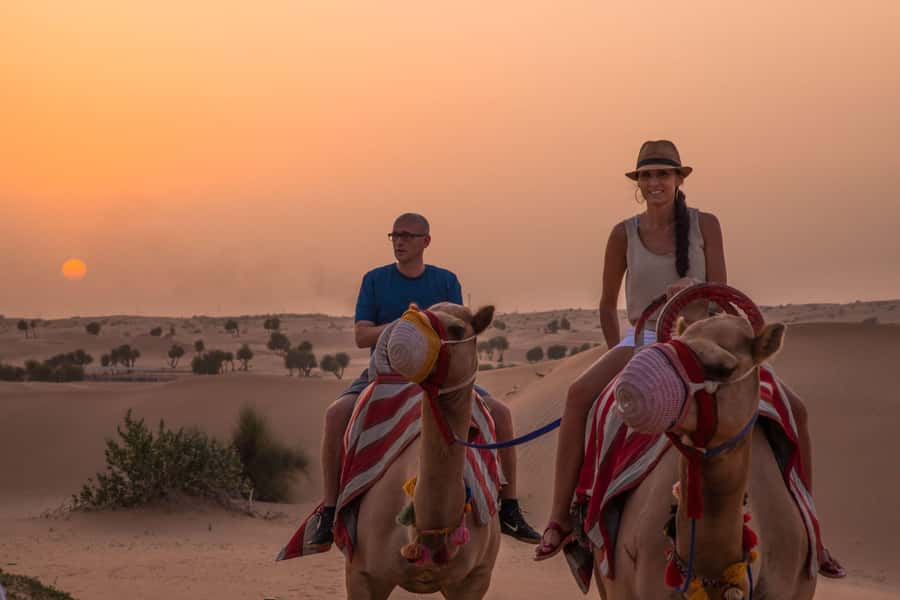 Dubai: Evening Camel Trekking & Dinner at Al Marmoom Oasis - Price and Value: Is $120 Worth It for 6 Hours?